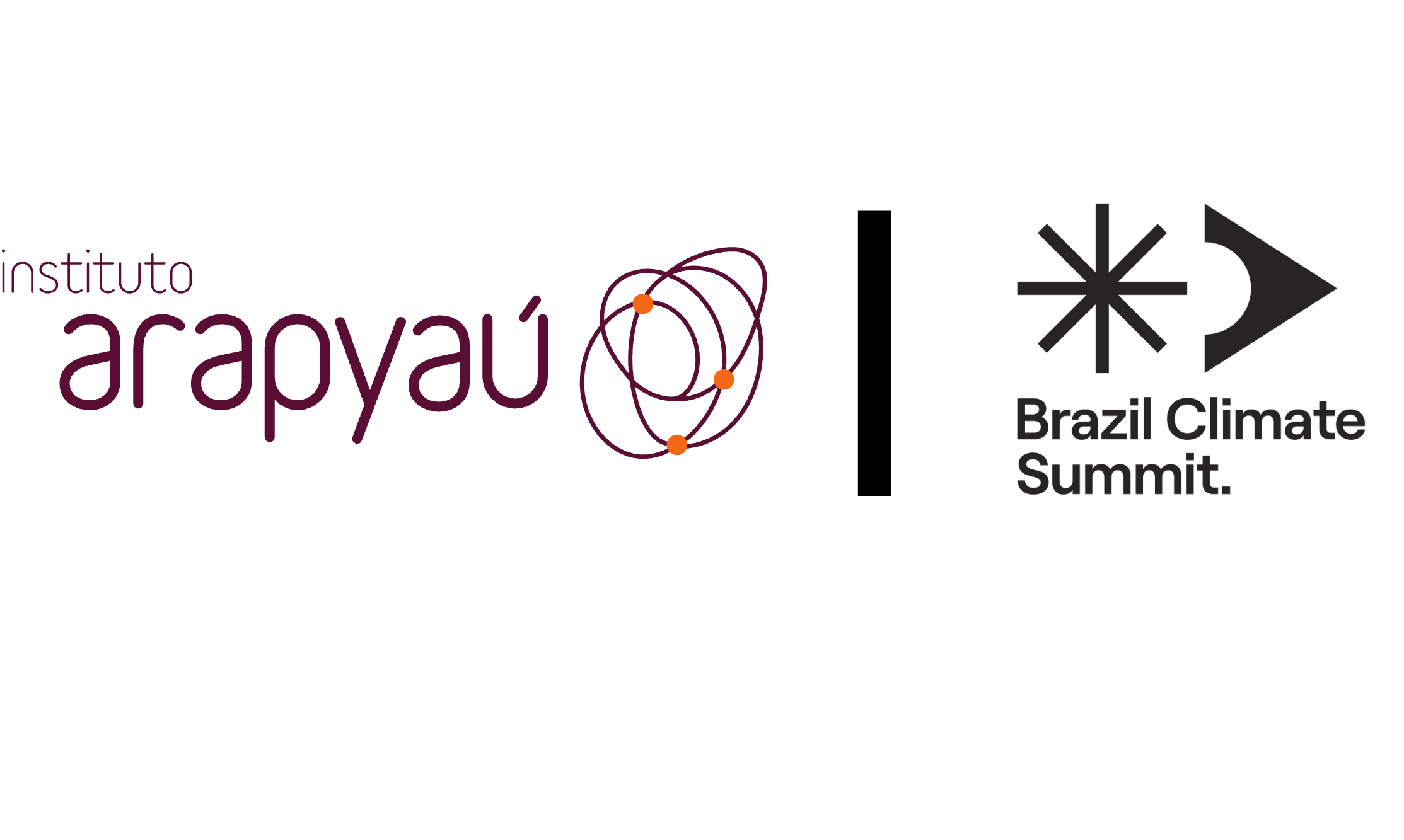 Instituto Arapyaú